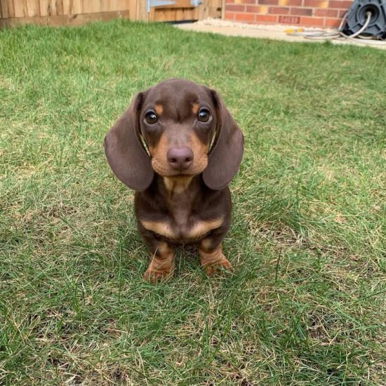 arthur